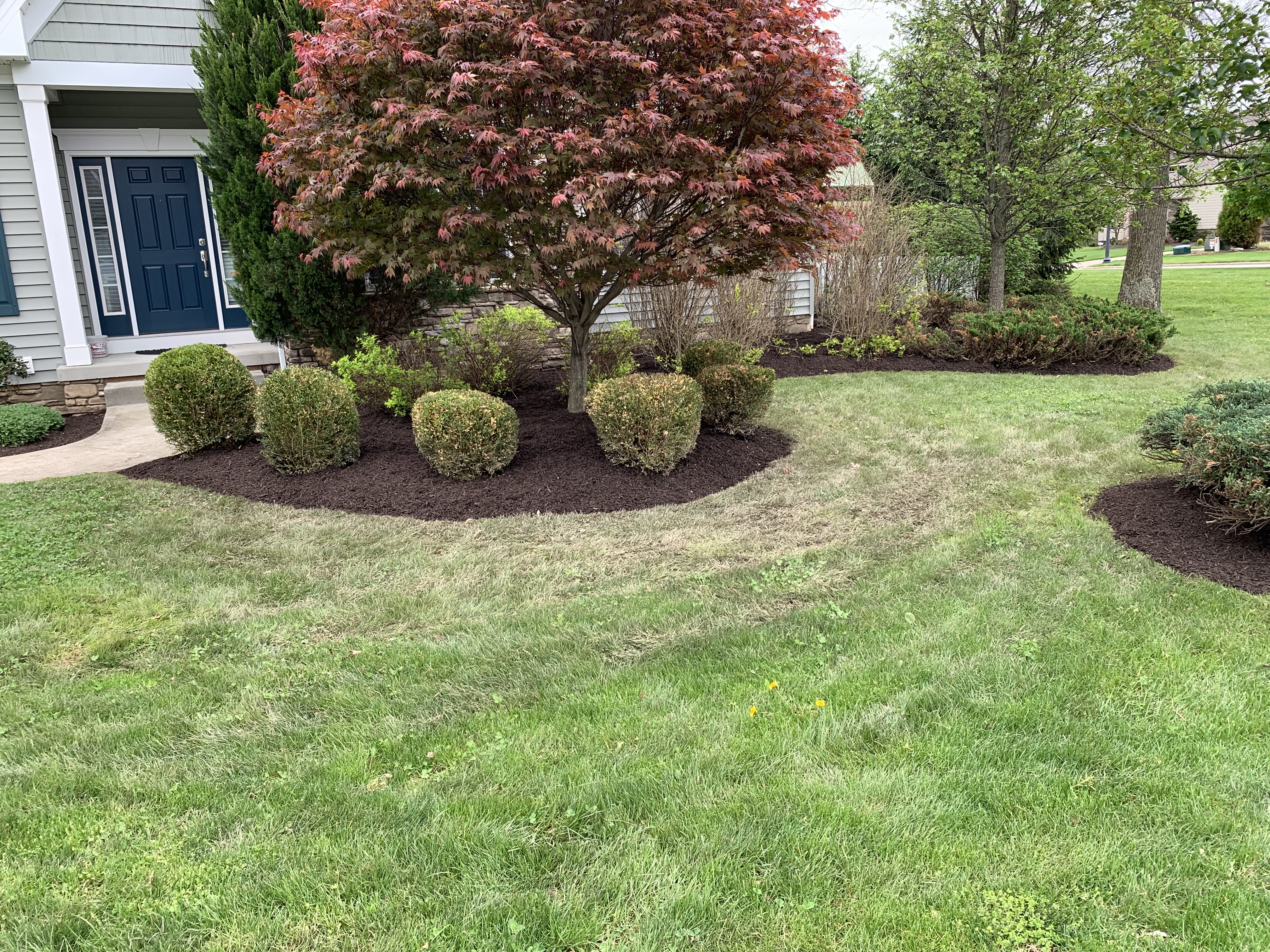 After professional landscaping service in Cleveland Area Ohio